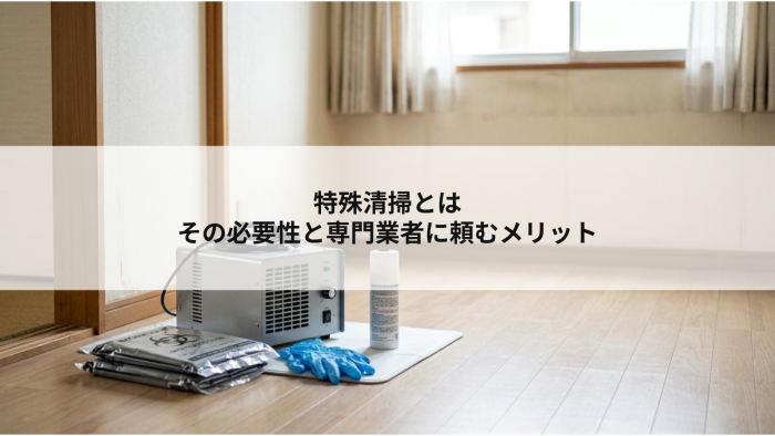 記事内画像 1 (35)