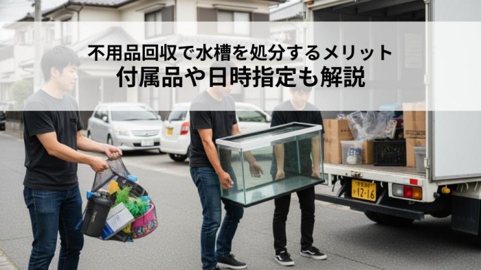 不用品回収で水槽を処分するメリットとは？付属品や日時指定も解説